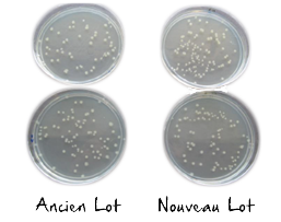nouveau-lot-cfu