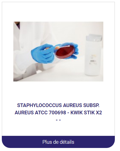 Staphylococcus-aureus