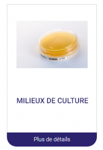 milieu de culture