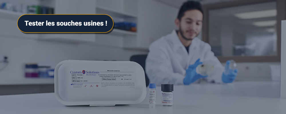 tester les souches usines - alliance bio expertise